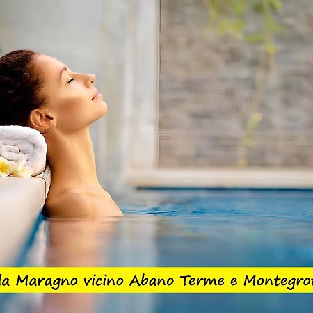 Villa Maragno Vicino Abano Terme Падуя Экстерьер фото